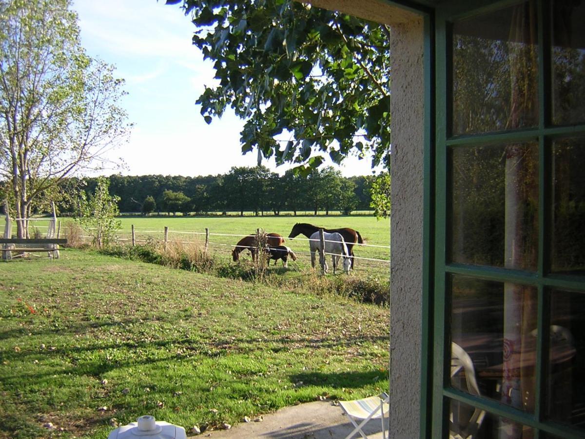 Chambre d'hôte de l'élevage du Lattay Les Hauts-d'Anjou Exterior foto